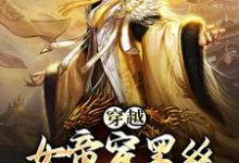 小说《穿越:女帝穿黑丝,这是我能看的么》章节免费阅读-侠客文学