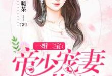 一婚二宝：帝少宠妻无节制小说，一婚二宝：帝少宠妻无节制在线阅读-侠客文学
