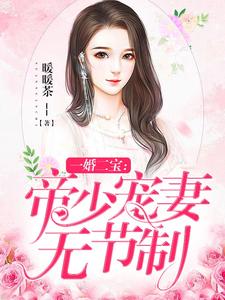 一婚二宝：帝少宠妻无节制小说，一婚二宝：帝少宠妻无节制在线阅读