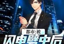 已完结小说《都市:被闪电劈中后我穿越了》最新章节-侠客文学