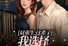 双重生:这辈子,我选择深情校霸小说,双重生:这辈子,我选择深情校霸最新章节-侠客文学