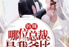 在线寻找陆宁溪封呈衍景澈景忆的小说，妈咪，哪位总裁是我爸比免费阅读-侠客文学