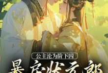 公主沦为阶下囚,暴戾状元郎失控了萧长宁赵渊,公主沦为阶下囚,暴戾状元郎失控了在线无弹窗阅读-侠客文学