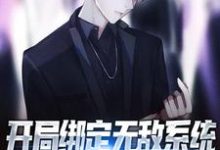 开局绑定无敌系统,我在四合院整活曹仲景,开局绑定无敌系统,我在四合院整活最新章节-侠客文学