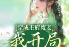 完结版《穿成王府废妾，我开局被陷害》在线免费阅读-侠客文学