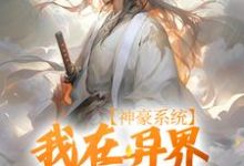 叶枫是哪本书的主角？神豪系统：我在异界杀伐果断免费读-侠客文学