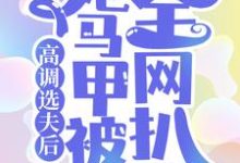 高调选夫后,她马甲被全网扒了最新章节,高调选夫后,她马甲被全网扒了免费阅读-侠客文学