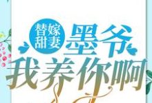 完整版的替嫁甜妻：墨爷，我养你啊小说在哪里可以免费读到？-侠客文学