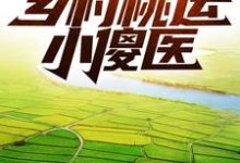 完结版《乡村桃运小傻医》章节目录在线阅读-侠客文学