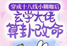 穿成十八线小糊咖后,玄学大佬算卦改命小说的无弹窗阅读体验,寻找免费阅读网站-侠客文学