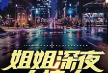 姐姐深夜太撩人小说全文哪里可以免费看？-侠客文学