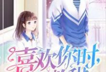 喜欢你时，风微甜小说有没有完整的免费版本在线阅读？-侠客文学