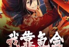 主角秦狩小说完结版在线阅读，我靠氪金无敌诸界免费看-侠客文学