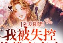 阴差阳错，我被失控总裁夜夜宠小说无弹窗阅读的网站推荐-侠客文学