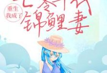 沈丹萝秦淮景的故事在哪本书里？免费阅读重生：我成了七零年代锦鲤妻-侠客文学