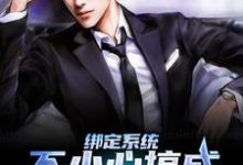 想读苏文的故事,哪里可以免费找到绑定系统:不小心搞成五百强企业了?-侠客文学