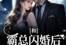 梁瓷傅司州是哪本书的主角？寻找和霸总闪婚后，娇娇被强宠了免费阅读-侠客文学