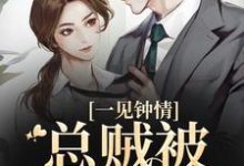 一见钟情，总贼被戏耍了闻书砚沈知蒽，一见钟情，总贼被戏耍了在线无弹窗阅读-侠客文学