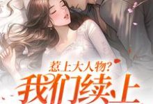 完结版《惹上大人物？我们续上两世情缘》在线免费阅读-侠客文学