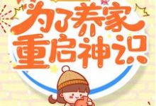 三岁半的我为了养家重启神识小说，三岁半的我为了养家重启神识最新章节-侠客文学