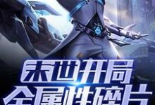 末世：开局全属性碎片小说无弹窗阅读的网站推荐-侠客文学