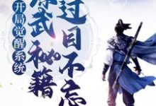 开局觉醒系统，综武秘籍我过目不忘小说最新章节在哪里可以读到？-侠客文学