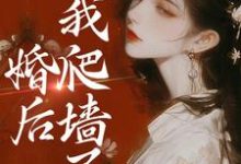 完结版《婚后,我爬墙了》章节目录在线阅读-侠客文学