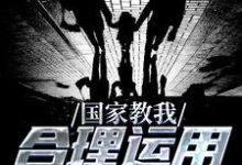 免费看国家教我合理运用攻略系统小说的网站有哪些？-侠客文学