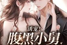 陆迟晏宋听晚小说在哪里可以看-侠客文学