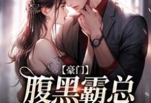 寻找能够免费阅读不装了，顾总与她日夜有染小说的平台-侠客文学