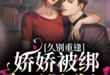 久别重逢:娇娇被绑去了民政局小说全文阅读需要付费吗?寻找免费资源-侠客文学