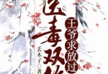 医毒双绝：王爷求放过小说的免费阅读版本在哪里可以找到？-侠客文学