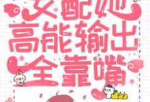 想读林然褚修的故事，哪里可以免费找到快穿：女配她高能输出全靠嘴？-侠客文学