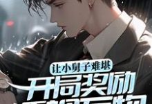 苏晨为主角的小说叫什么?免费看让小舅子难堪,开局奖励透视万物-侠客文学