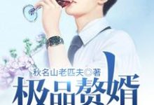 叶知夏枯市大波Q吹波Q夏枯的小说在哪里看?免费在线阅读极品赘婿奶爸-侠客文学