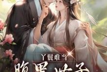 免费在线阅读丫鬟难当，腹黑世子他又宠又撩！小说的正规网站有哪些？-侠客文学