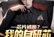 芯片被断？我的自研芯片火爆全球主角郝淮小说完结版章节在线阅读-侠客文学