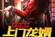 女总裁的上门龙婿免费阅读，女总裁的上门龙婿章节在线阅读-侠客文学