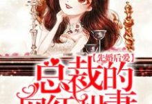 先婚后爱：总裁的网红甜妻小说，先婚后爱：总裁的网红甜妻章节在线阅读-侠客文学