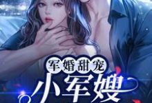 军婚甜宠:小军嫂又美又娇免费阅读,军婚甜宠:小军嫂又美又娇容景辰叶沐栖-侠客文学