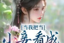 当我把当小妾看成打工后免费阅读，当我把当小妾看成打工后苏幼薇李景恒-侠客文学