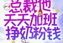 求推荐可以免费阅读穿书后,总裁他天天加班挣奶粉钱小说的网站-侠客文学