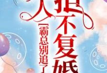 主角温宝儿霍云缺小说完结版在线阅读，霸总别追了，夫人拒不复婚免费看-侠客文学