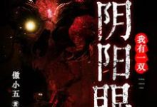 我有一双阴阳眼小说，我有一双阴阳眼在线阅读-侠客文学