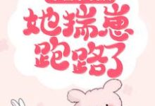 姜意薄司卿是哪本书的主角？寻找东窗事发后，她揣崽跑路了免费阅读-侠客文学