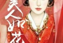 美人如花隔云端小说的无弹窗阅读体验，寻找免费阅读网站-侠客文学