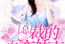 小说《总裁的百变娇妻》章节免费阅读-侠客文学