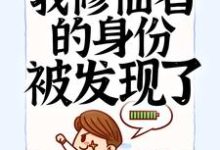 入赘后,我修仙者的身份被发现了小说最新更新在哪里?免费在线看-侠客文学