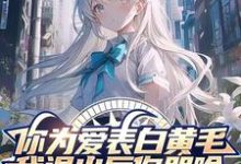 你为爱表白黄毛，我退出后你哭啥小说无弹窗阅读的网站推荐-侠客文学