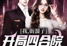 我，街溜子，开局四合院全员无好人这本小说完结了吗？免费查看最新章节-侠客文学